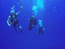 Hawaii Scuba divng 35