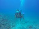 Hawaii Scuba divng 46