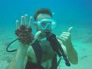 Hawaii Scuba divng 54