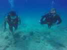 Hawaii Scuba divng 59