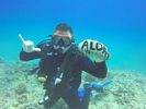 Hawaii Scuba divng 72