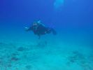 Hawaii Scuba divng 75