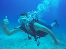 Hawaii Scuba divng 76