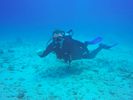 Hawaii Scuba divng 78