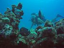 Hawaii Scuba divng 79