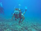 Hawaii Scuba divng 84