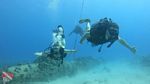 Honolulu Scuba 15