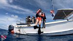 Oahu Scuba 03