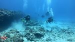 Oahu Scuba 55