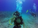 Hawaii Scuba divng 13