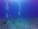 Hawaii Scuba divng 15