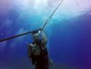 Hawaii Scuba divng 16