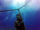 Hawaii Scuba divng 17