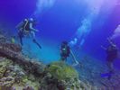 Hawaii Scuba divng 18