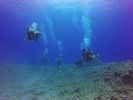 Hawaii Scuba divng 19