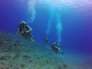 Hawaii Scuba divng 21