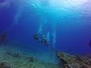 Hawaii Scuba divng 23