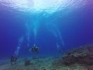 Hawaii Scuba divng 24