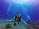 Hawaii Scuba divng 26