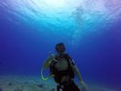 Hawaii Scuba divng 27