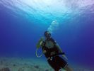 Hawaii Scuba divng 28