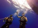 Hawaii Scuba divng 02