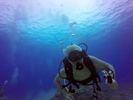 Hawaii Scuba divng 35