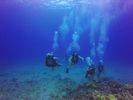 Hawaii Scuba divng 36