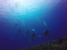 Hawaii Scuba divng 37