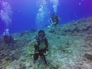 Hawaii Scuba divng 38