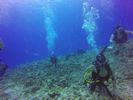 Hawaii Scuba divng 39