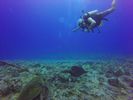 Hawaii Scuba divng 03