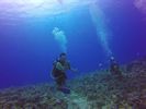 Hawaii Scuba divng 40