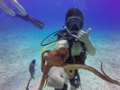 Hawaii Scuba divng 42