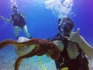 Hawaii Scuba divng 43