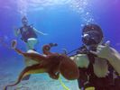 Hawaii Scuba divng 44