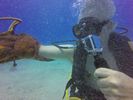 Hawaii Scuba divng 47