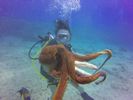 Hawaii Scuba divng 49