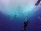 Hawaii Scuba divng 04