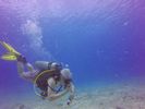 Hawaii Scuba divng 56