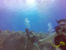 Hawaii Scuba divng 59