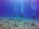 Hawaii Scuba divng 62