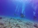 Hawaii Scuba divng 63