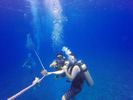 Hawaii Scuba divng 65