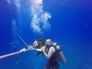 Hawaii Scuba divng 66