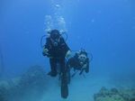 Hawaii Scuba divng 11