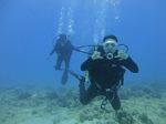 Hawaii Scuba divng 12