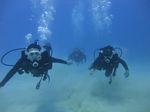 Hawaii Scuba divng 13