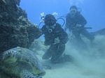 Hawaii Scuba divng 16