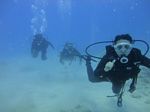 Hawaii Scuba divng 20